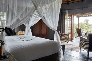 Holiday to the Motswari Private Game Reserve, Kruger, South Africa