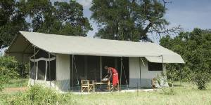 Holiday to The Porini Lion Camp, Masai Mara Olare Orok Conservancy