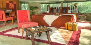 Holiday to the Kicheche Laikipia Camp, Laikipia & Lewa National Park Kenya
