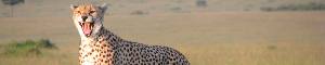 Holidays to Kenya with Escape Worldwide