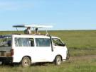 Driving safaris in Kenya