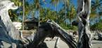 Holidays to Saadani National Park, Tanzania