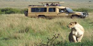 Safari holidays to Kenya - 5 night Samburu & the Mara flying safari