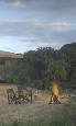 Holiday to the Porini Rhino Camp, Ol Pejeta Conservancy Kenya