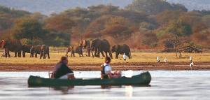 Holiday to Tarangire and Lake Manyara, Tanzania