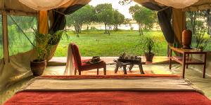 Holiday to the Kicheche Laikipia Camp, Laikipia & Lewa National Park Kenya
