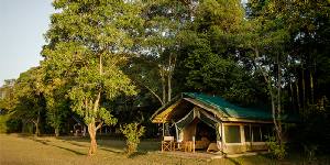 Holiday to The Governors Main Camp, Masai Mara National Reserve Kenya