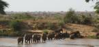 Holidays to Samburu, Shaba and Meru, Kenya