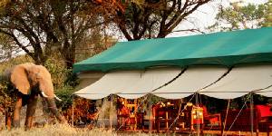 Holiday to the Mdonya Old River Camp, Ruaha Tanzania