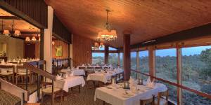 Holiday to The Ark Lodge, Aberdares National Park Kenya