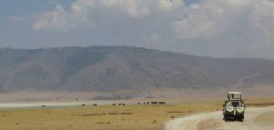 Safari holidays to Tanzania