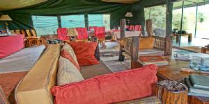 Holiday to the Porini Rhino Camp, Ol Pejeta National Park Kenya