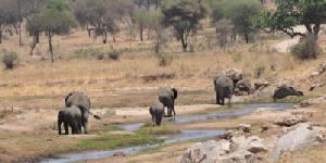 Safari holiday in Tanzania - 3 night Selous Explorer Safari