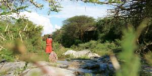Holiday to The Mara Simba Lodge, Masai Mara  Holiday to The Mara Simba Lodge, Masai Mara