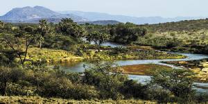 Holiday to The Sarova Shaba Camp, Shaba Kenya