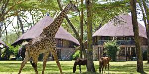 Holiday to Lake Naivasha Sopa Lodge, Lake Naivasha National Park Kenya