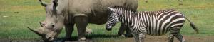 Holidays to Africa with Escape Worldwide Holidays to Africa with Escape Worldwide
