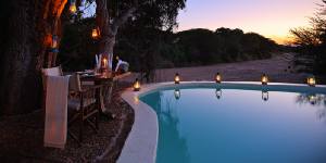 Holiday to the Jongomero Camp, Ruaha Tanzania