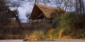Holiday to the Jongomero Camp, Ruaha Tanzania