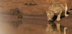 Holidays to Tsavo East and Tsavo West, Kenya