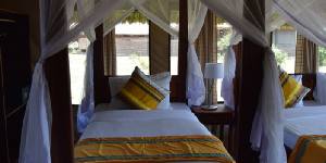 Holiday to the Tarangire Simba Lodge, Tarangire Tanzania