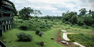 Holiday to the Serena Mountain Lodge, Mount Kenya National Park Kenya
