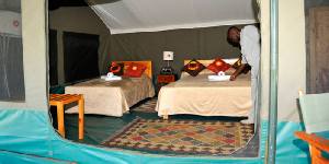 Holiday to the Porini Rhino Camp, Ol Pejeta National Park Kenya