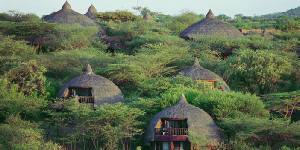 Holiday to the Serengeti Serena Safari Lodge, Serengeti, Tanzania