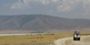 Safari holiday in Kenya - 13 night Great Migration safari
