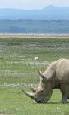 Safari holiday in Kenya - 5 night Sarova Private Safari