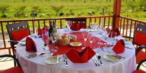 Holiday to the Ole Sereni Hotel Nairobi