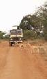 Safari holiday in Tanzania - 7 night Elewana Road safari