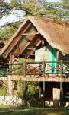 Holiday to the Sweetwater Tented Camp, Ol Pejeta Conservancy Kenya