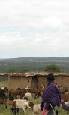 Safari holiday in Tanzania - 3 night Saadani Coastal safari