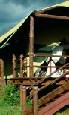 Holiday to the Kirawira tented Camp, Serengeti, Tanzania