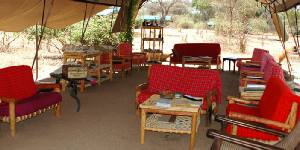 Holiday to the Mdonya Old River Camp, Ruaha Tanzania