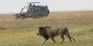 Safari holiday in Tanzania