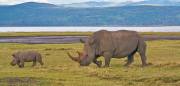 Flying safaris in Tanzania
