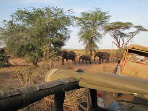 Safari holidays to Kenya - 3 night Samburu Flying safari