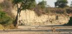 Holidays to Tarangire National Park, Tanzania