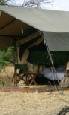 Holiday to the Exclusive Mobile Camp, Serengeti, Tanzania