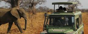 Holiday to Tarangire and Lake Manyara, Tanzania