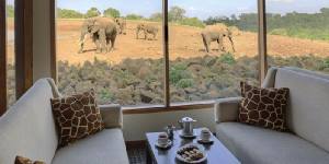 Holiday to The Ark Lodge, Aberdares National Park Kenya