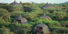 Safari holiday in Tanzania - 6 night Serena Serengeti Safari