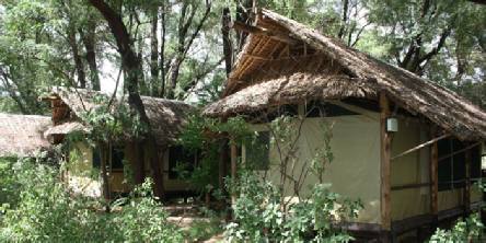 Holiday to The Samburu Intrepids Camp, Samburu Kenya