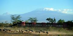 Holiday to the Amboseli Serena Lodge, Amboseli National Park Kenya