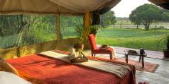 Holiday to the Kicheche Laikipia Camp, Laikipia & Lewa National Park Kenya