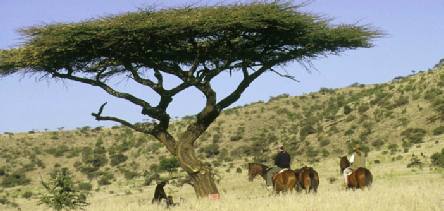 Holiday to Laikipia and Lewa Downs, Kenya