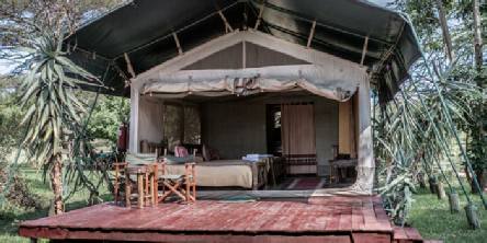 Holiday to The Porini Mara Camp, Masai Mara Ol Kinvei Conservancy