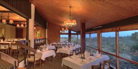 Holiday to The Ark Lodge, Aberdares National Park Kenya